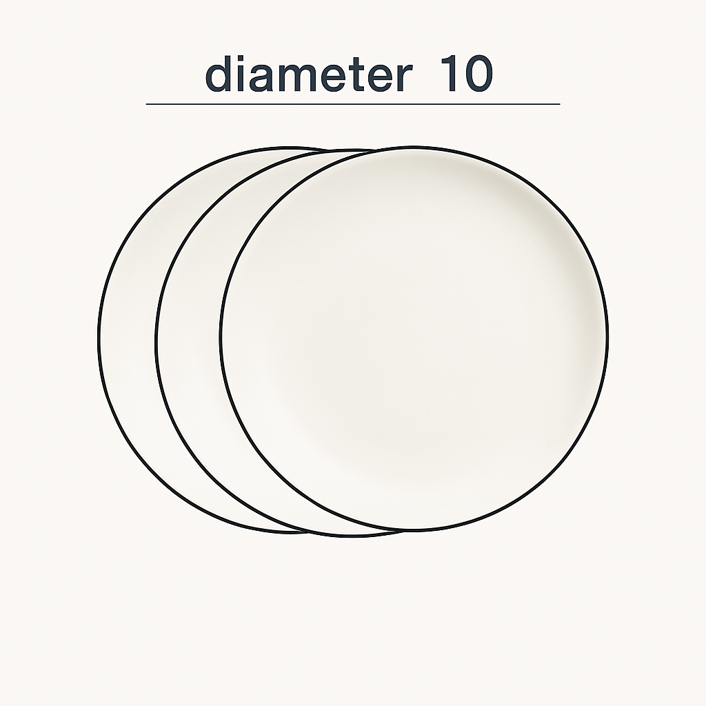 White Ceramic Plate with Black Rim – Minimalist Round Design