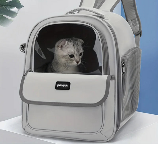 Transparent Capsule Pet Backpack – Breathable Travel Carrier for Cats
