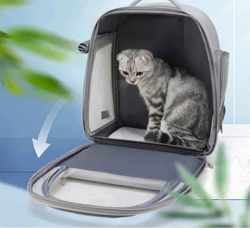 Transparent Capsule Pet Backpack – Breathable Travel Carrier for Cats