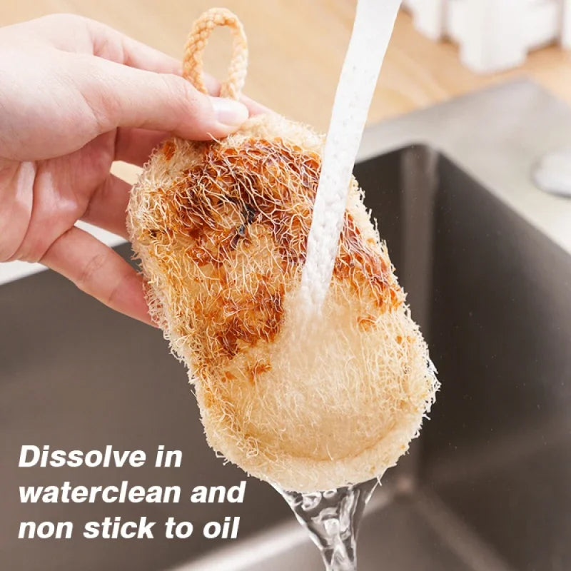 Natural Loofah Dish Sponge
