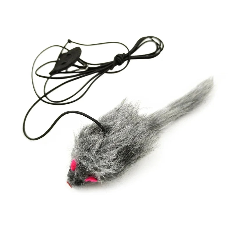 Interactive Hanging Feather Cat Toy – Elastic Rope Play Kit