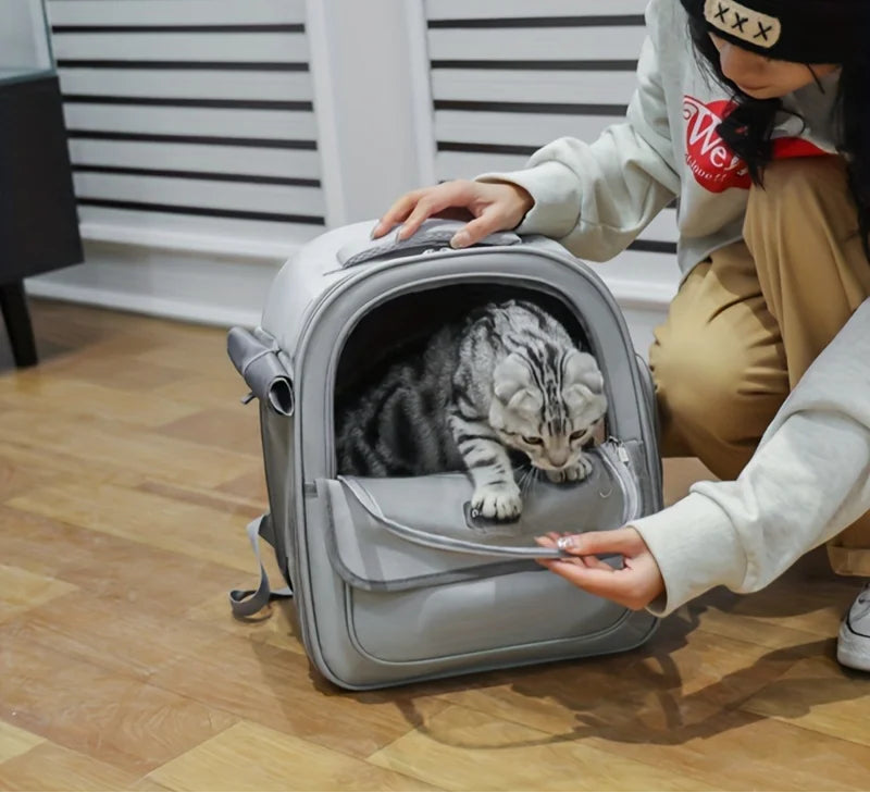 Transparent Capsule Pet Backpack – Breathable Travel Carrier for Cats