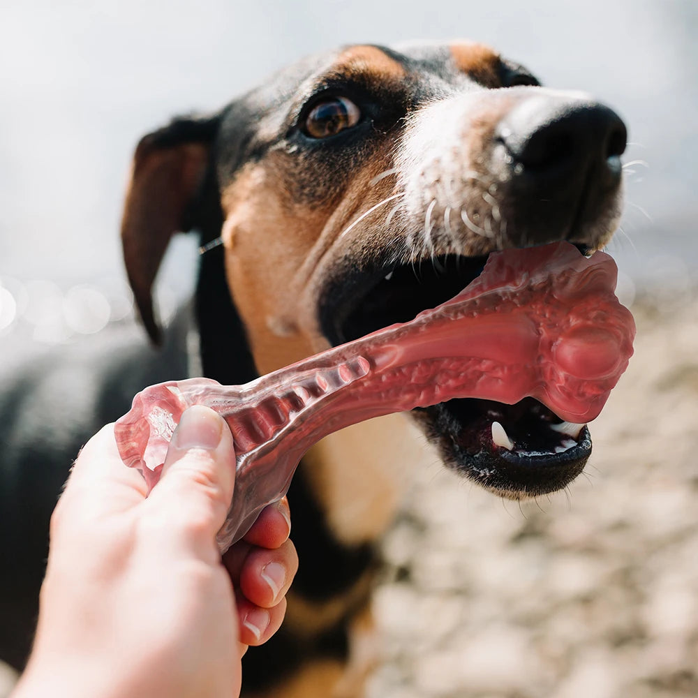 Durable Bone-Shaped Chew Toy for Medium &amp; Large Dogs – Tough Nylon