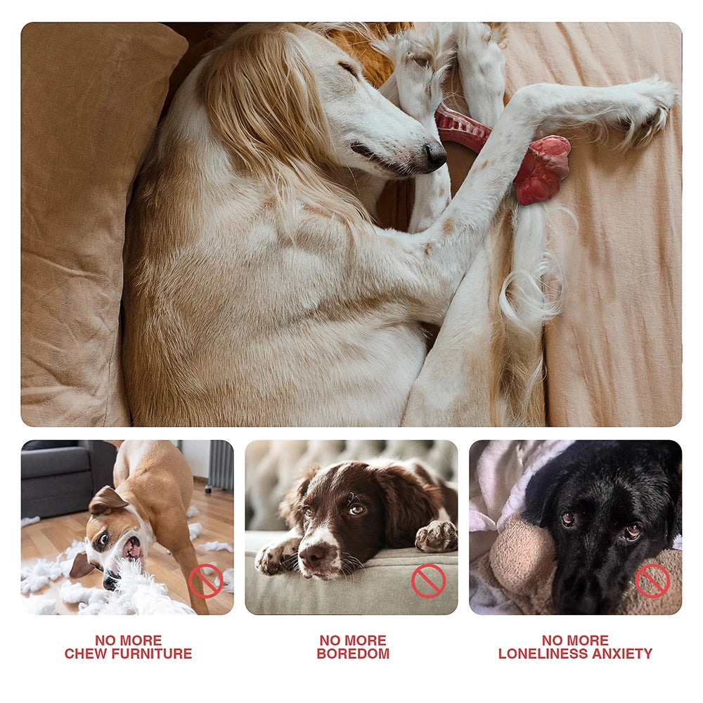 Durable Bone-Shaped Chew Toy for Medium &amp; Large Dogs – Tough Nylon