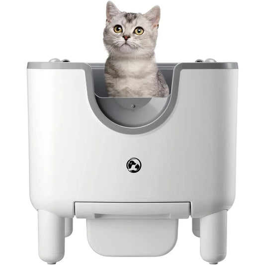 F6 Automatic Cat Litter Box
