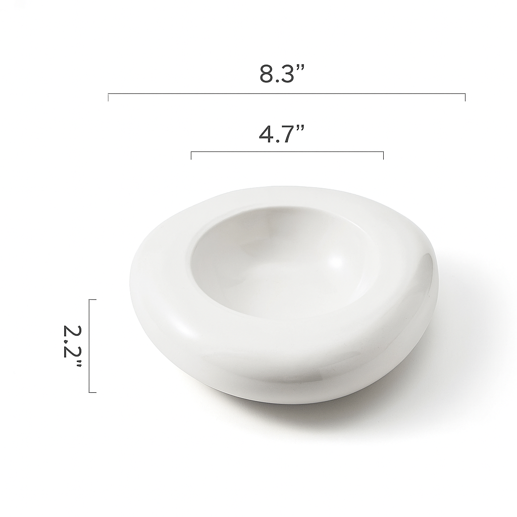 Irregular Shaped Ceramic Plate – Underglaze Porcelain Design